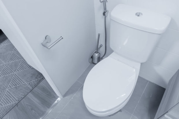 SWS: 4% of PH households still have no toilets; 6% share facilities