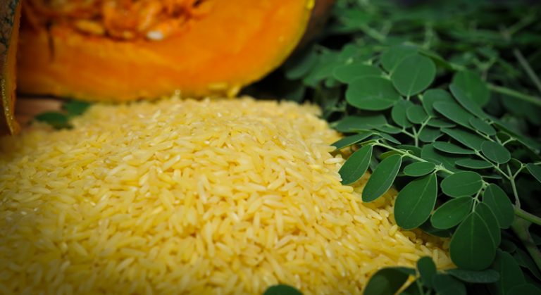 Commercial launch of ‘Golden Rice’ expected by 2023