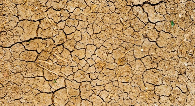 UN body says drought to worsen poverty