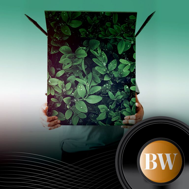 [B-SIDE Podcast] Curbing the ‘plastic pandemic’ with eco-friendly packaging