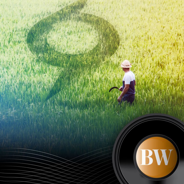 [B-SIDE Podcast] Weathering the storm: how to protect the farming sector from typhoons
