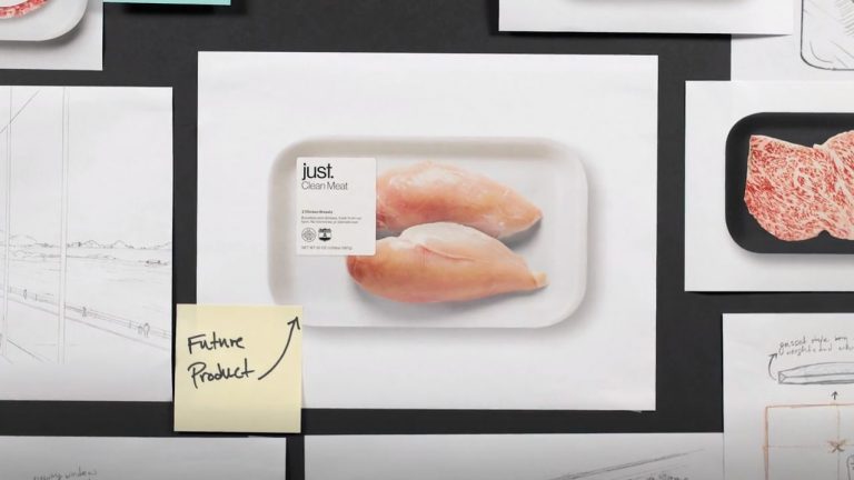 Singapore becomes first country to approve sale of lab-grown meat