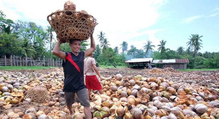 Speaker targets coco levy bill passage before adjournment