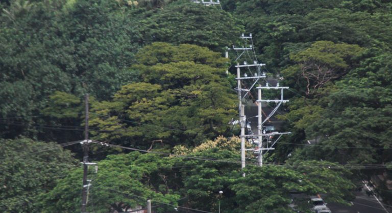 NEA estimates over 12,000 rural sitios still lack access to power; asks for funding