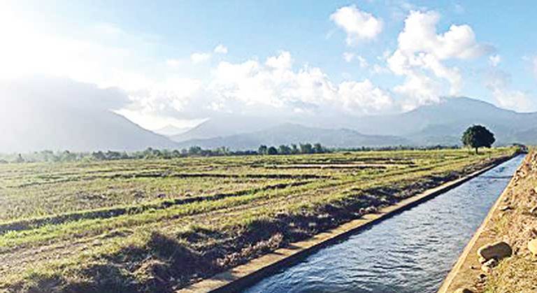 Gov’t corporations subsidies P6.3 billion in Oct., down 13%