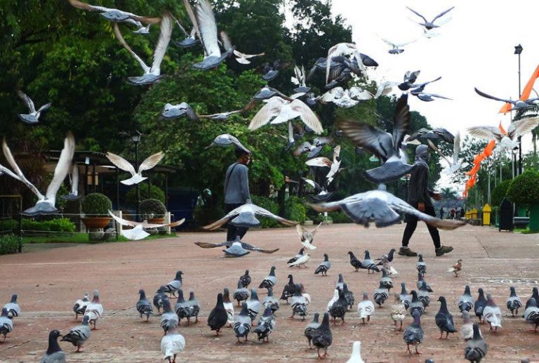 BIRD PARK