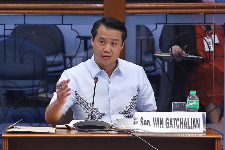 Gatchalian seeks natl education agenda