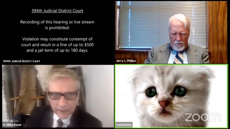 ‘I’m not a cat,’ says lawyer after Zoom filter mishap