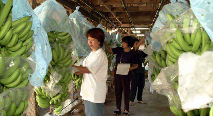 DTI seeks June trade deal signing with South Korea to ensure treaty approved before polls