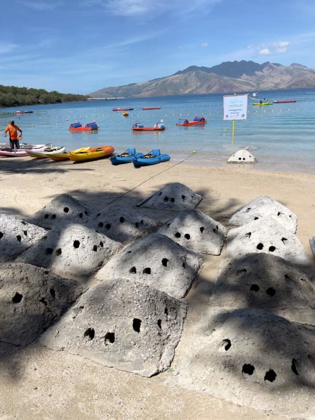 Beach resort in Subic Bay turns to artificial coral reefs to preserve marine ecosystem
