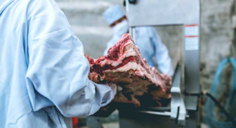 Meat imports up 21% in first quarter after surge in pork shipments