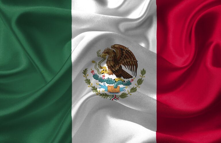 Mexico hopes to finish vaccinating its population in early 2022 Mexico hopes to finish vaccinating its population in early 2022