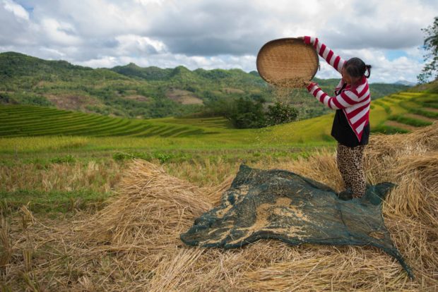 Poor state of PH agriculture blamed on misdirected policies