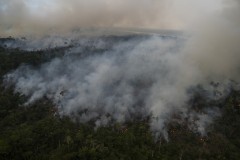 Major corporations urge Brazil to boost climate pledges