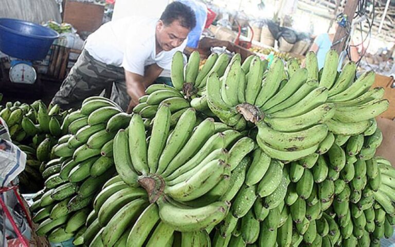 Fruit harvests mixed in Q2