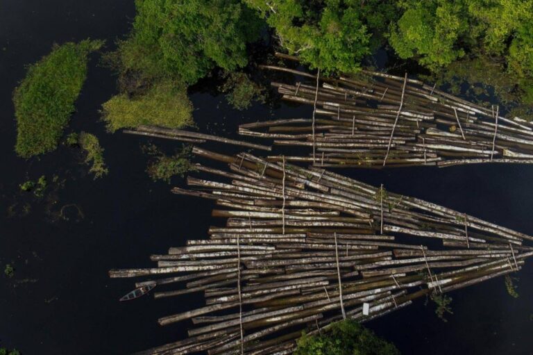 Protect Amazon, nations urged