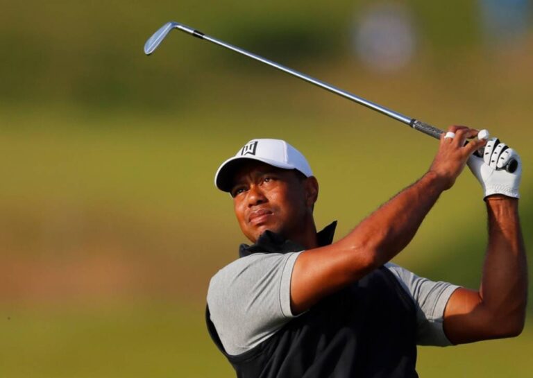 Tiger helps from afar