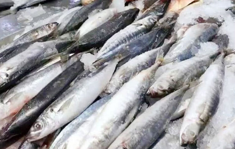 Fish imports seen helping address price pressures