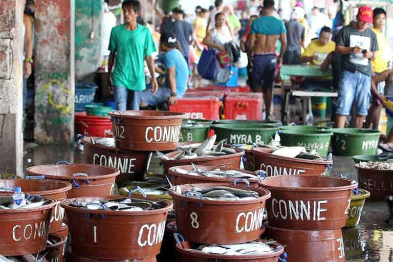 Volumes landed at fish ports rise despite typhoons — PFDA  