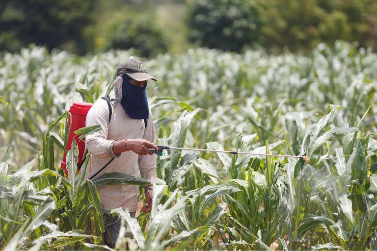 Pesticide residue rules planned for fruits, vegetables