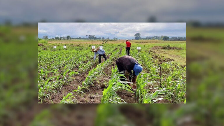 DA lobbies Congress for additional P30 billion in funding for 2022