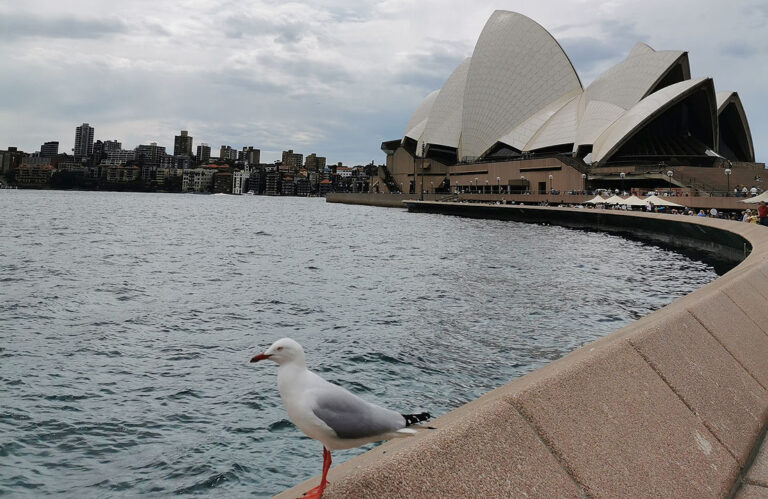 Australia to welcome top overseas talent