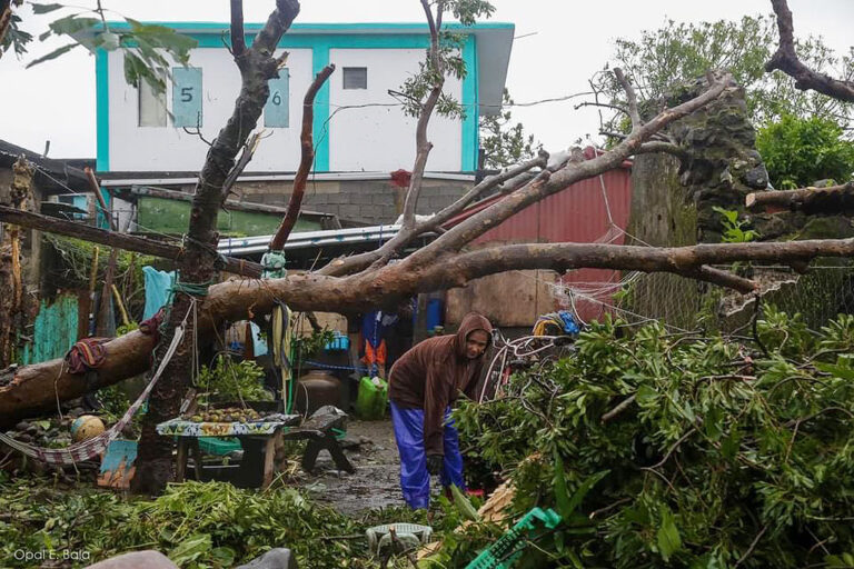 Farm damage from Jolina climbs to P1.36B  