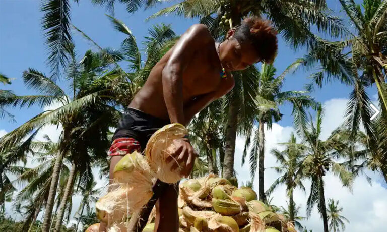 Coconut oil, crude coconut oil among top 3 US imports from PHL