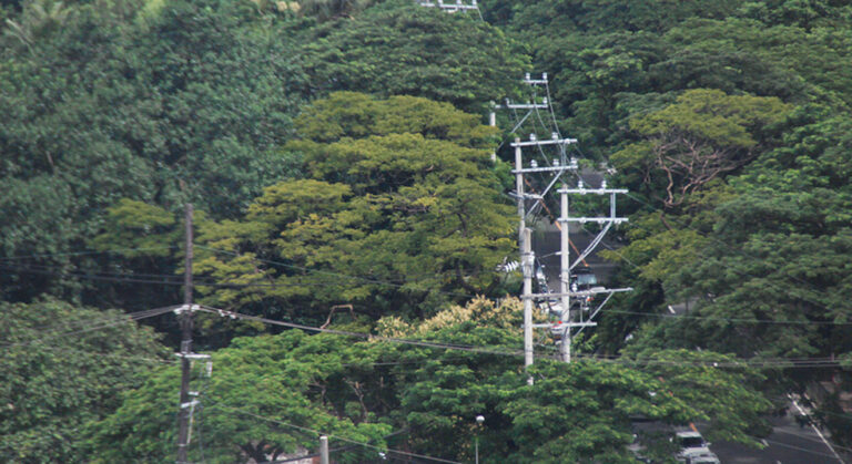 Senate microgrid bill passes on third reading