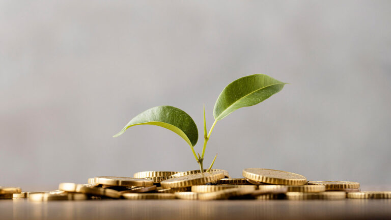 Wait, we still need microfinance
