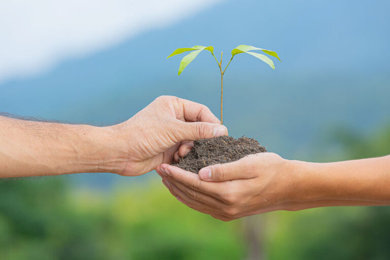 A resilient food supply starts with modernization