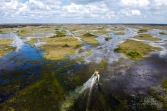 Climate change threatens the Everglades, Florida’s gem