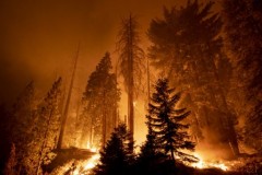 Fires, floods, flying insects: 10 recent climate-fuelled disasters