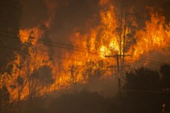 California’s Alisal Fire burns more than 13,000 acres