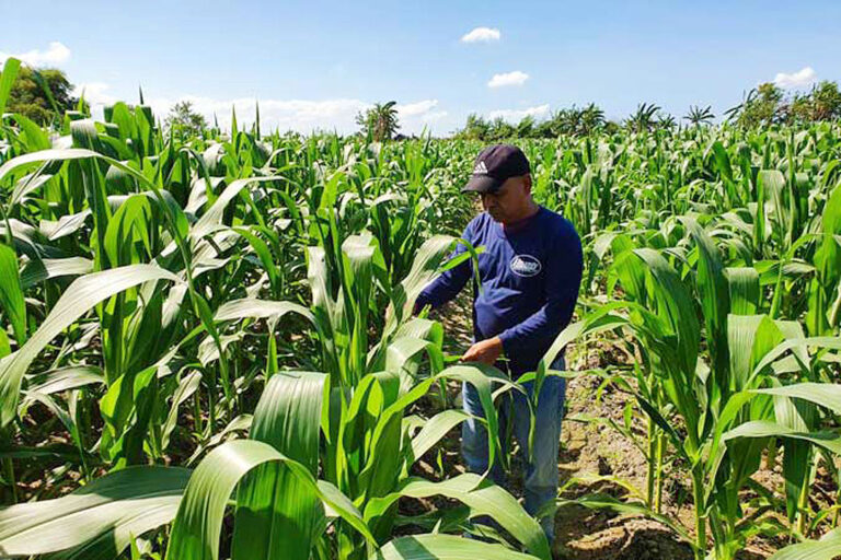 Crop insurance agency ordered to report financial condition by Oct. 7