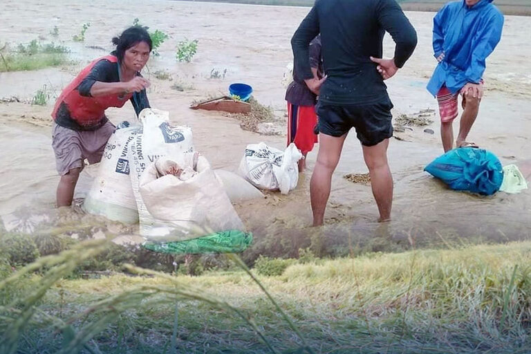 Agri losses from Maring hits P2.17B, over 78,600 farmers affected
