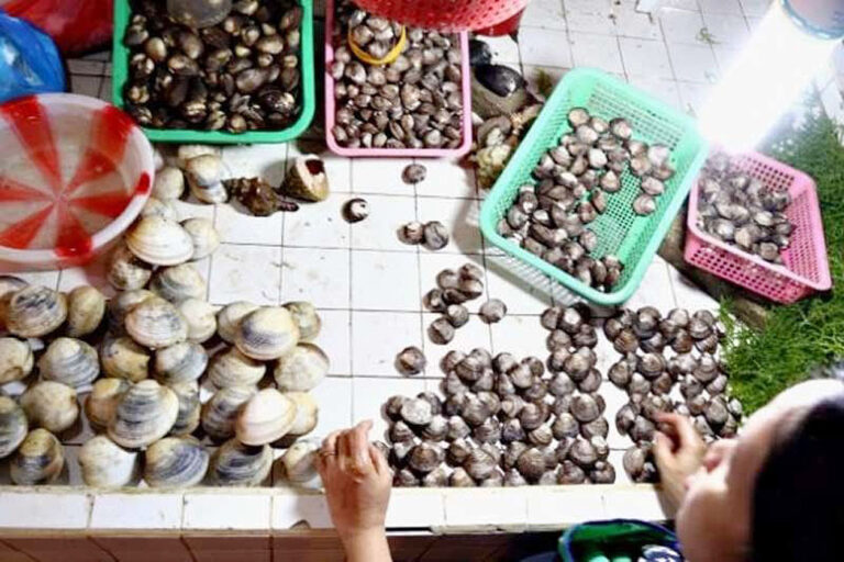 Shellfish banned in several provinces due to red tide