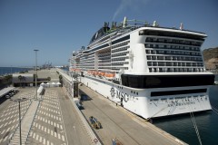 45 cruise passengers with Covid disembark in Italy