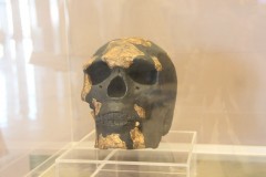One of the oldest human fossils just got older: study