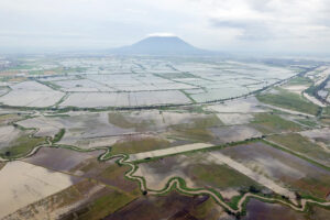 Agricultural damage from Super Typhoon Karding hits P1.29B with main rice growers affected