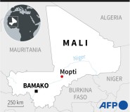 Rights group says hundreds massacred in Mali by Islamic State jihadists