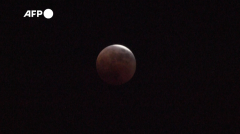 Tokyo residents marvel at ‘blood moon’ eclipse