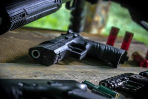 Nationwide audit of firearms sought